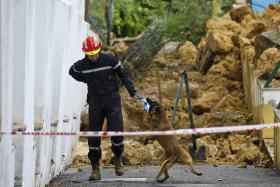 BUSCAS COM CÃES CONFIRMAM INEXISTÊNCIA DE VÍTIMAS NA QUEDA DE MURO EM LISBOA