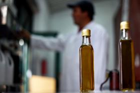 PRODUÇÃO COSMÉTICA A PARTIR DE AZEITE E MEL VENCE CONCURSO DE IDEIAS EM COIMBRA