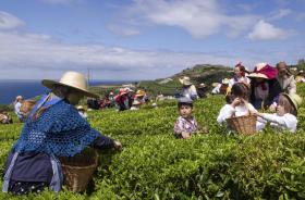 EMPRESÁRIOS DOS EUA PROCURAM PRODUTOS AÇORIANOS PARA VENDER A EMIGRANTES