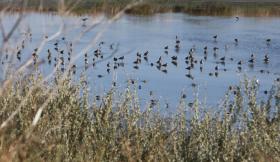 PORTUGAL E ESPANHA CRIAM PRIMEIRA RESERVA FLUVIAL DA UNIÃO EUROPEIA