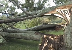 TEMPESTADE QUE VARREU PARTES DO SUL DO ONTÁRIO CONFIRMADA COMO SENDO UM TORNADO