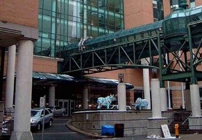 RESULTADO POSITIVO PARA ENTEROVIRUS D68 EM CRIANÇA NO SICKKIDS
