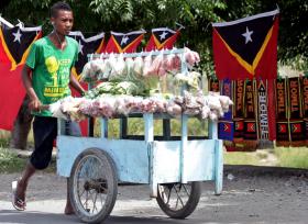PRIMEIRO JUIZ PORTUGUÊS JÁ ABANDONOU TIMOR-LESTE