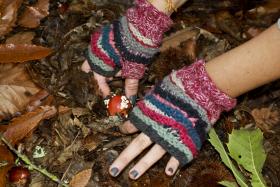 COGUMELOS SILVESTRES VALORIZAM ECOSSISTEMAS E BALDIOS DA SERRA DA LOUSÃ