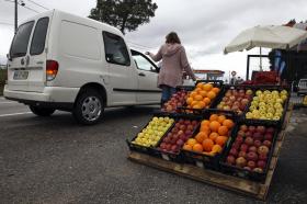 FRUTAS, LEGUMES E FLORES VALEM MIL MILHÕES DE EUROS EM EXPORTAÇÕES