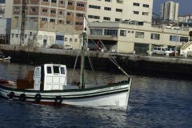 PESCADORES DO NORTE SEM ALTERNATIVA À SARDINHA PARA EMBARCAÇÕES DO CERCO