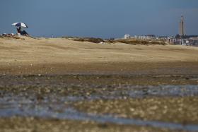 CORPO RECUPERADO NO TEJO É DE UM DOS MARISCADORES DESAPARECIDOS – POLÍCA MARÍTIMA