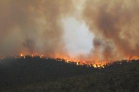 INCÊNDIO FLORESTAL “EXTREMAMENTE PERIGOSO” FORA DE CONTROLO NO SUL DA AUSTRÁLIA