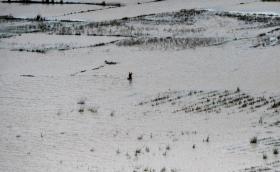 JAPÃO AJUDA VÍTIMAS DAS CHEIAS EM MOÇAMBIQUE COM 130 MIL DÓLARES