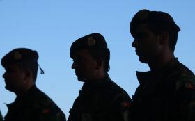 FORÇAS ARMADAS COM EFETIVO MÁXIMO DE 31563 MILITARES PARA 2015 – GOVERNO