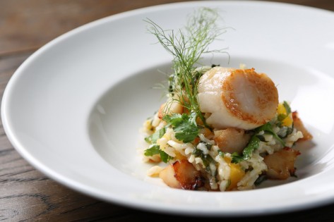 Risotto de Il Fornello Danforth. Divulgação / Winterlicious