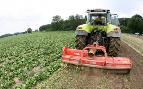 GUINÉ-BISSAU E CÂMARA AGRICULTURA LUSÓFONA PREPARAM ESTRATÉGIA PARA AGRONEGÓCIOS