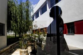DEPUTADA PORTUGUESA NA GUINÉ-BISSAU ENALTECE COMBATE À MUTILAÇÃO GENITAL FEMININA