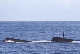 AR DIZ QUE SÓ HOJE RECEBEU POR EMAIL PETIÇÃO SOBRE CASO DOS SUBMARINOS