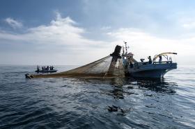 CDS-PP DEFENDE REVISÃO DE POTÊNCIA MÁXIMA DE BARCOS DE PESCA LOCAL