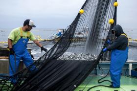 PROMAR REABRE CANDIDATURAS PARA GASTAR DINHEIRO DISPONÍVEL