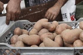 AGRICULTORES QUE FAÇAM SEGURO TERÃO PRIORIDADE NOS FUNDOS COMUNITÁRIOS