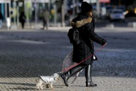 FRIO VAI AFETAR CONTINENTE ATÉ À PRÓXIMA TERÇA-FEIRA – IPMA
