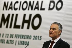 PR DIZ QUE MILHO É ESTRATÉGICO E QUE O SETOR DEVE AUMENTAR A PRODUÇÃO
