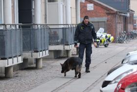 COPENHAGA/ATENTADO: DOIS SUSPEITOS DO ATAQUE EM FUGA – POLÍCIA