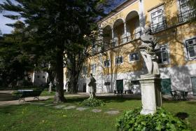 COLEÇÃO RARA DE PORCELANAS DA CHINA EXIBIDA HOJE NO MUSEU DE ARTE ANTIGA