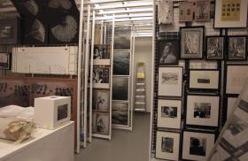 MUSEU DO PAPEL ACOLHE ESTREIA DE ESPETÁCULO DE DANÇA CRIADO PARA O IMAGINARIUS 365