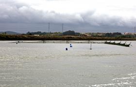 AÇUDES DO MONDEGO RECEBEM OBRAS PARA FACILITAR PASSAGEM DE PEIXES E LAMPREIAS