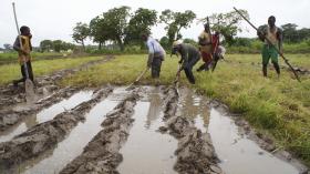 AGRICULTURA MOÇAMBICANA PRECISA DE BANCA MAIS AMIGÁVEL – ESPECIALISTA