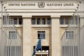 MULHER À FRENTE DA ONU SERIA “SAUDÁVEL” E “ÚTIL” — CONSELHEIRO DA ORGANIZAÇÃO