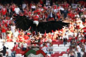 COMISSÕES MUNICIPAIS QUEREM QUE CÂMARA DE LISBOA RETIRE PROPOSTA DE ISENÇÕES AO BENFICA