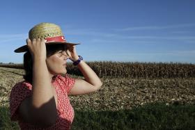 MINISTRA PLANTA ÁRVORES PARA BENEFÍCIO DE ÁREAS ARDIDAS E DA ECONOMIA FLORESTAL