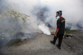 BRASIL COM 340 CIDADES SOB ALERTA DEVIDO A RISCO DE SURTO DE DENGUE