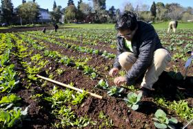 CANDIDATURAS A APOIOS AGROAMBIENTAIS E ÀS ZONAS DESFAVORECIDAS ARRANCAM HOJE