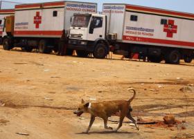 LUANDA REALIZA NA PRÓXIMA SEMANA CAMPANHA DE VACINAÇÃO ANIMAL CONTRA A RAIVA