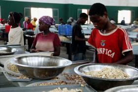 MOÇAMBIQUE VAI CRESCER 5,9% ESTE ANO E MAIS DE 8% ATÉ 2019 – CONSULTORA BMI