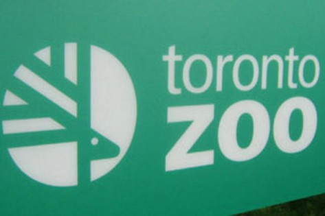 zoo