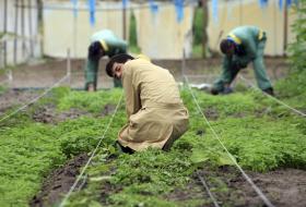 BRUXELAS LANÇA FUNDO DE GARANTIA PARA FINANCIAR AGRICULTORES COM JUROS MAIS BAIXOS