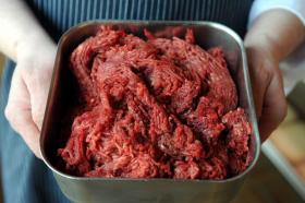 DESMANTELADA REDE DE COMÉRCIO DE CARNE DE CAVALO ILEGAL – EUROJUST