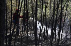 INCÊNDIOS: FOGOS EM VIANA DO CASTELO E MONÇÃO DOMINADOS