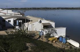 PRAZO PARA ABANDONAR CASAS NA ILHA DO FAROL DA RIA FORMOSA TERMINA HOJE