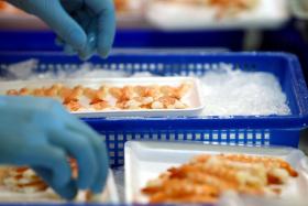 CAPTURA DE CAMARÃO EM MOÇAMBIQUE ABAIXO DA META EM 2014