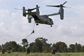 FUZILEIROS E ‘MARINES’ TREINAM COMBATE AO TERRORISMO EM ÁFRICA ENTRE SOBREIROS DE ALCOCHETE