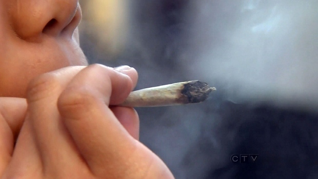 Um novo estudo sugere que fumar marijuana interfere com o desenvolvimento saudável do cérebro dos adolescentes