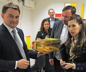 ANIMAIS CADA VEZ MENOS USADOS NA EXPERIMENTAÇÃO EM PORTUGAL