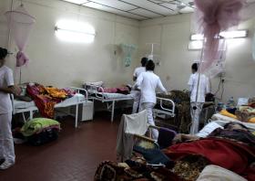 SURTO DE FEBRE AFTOSA DETETADO NO SUL DE ANGOLA