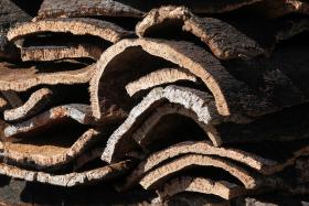 ESPAÇO DE APOIO AOS PEREGRINOS AO SANTO SUDÁRIO EM TURIM É DE CORTIÇA PORTUGUESA