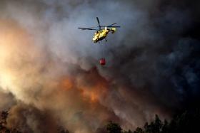 INCÊNDIOS AUMENTARAM CINCO VEZES ESTE ANO, NUM TOTAL DE 4.320