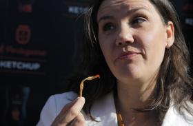 PRAZO DE CANDIDATURAS PARA PAC ALARGADO ATÉ 31 MAIO — MINISTRA AGRICULTURA