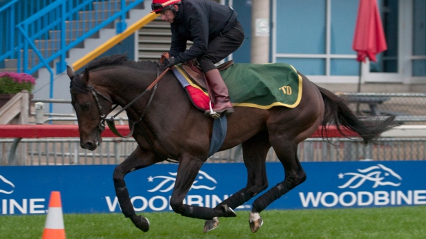 A Assembleia Municipal de Toronto, vai em breve rever a questão da aprovação da expansão de jogos na Woodbine Racetrack. THE CANADIAN PRESS/HO - Michael Burns (Michael Burns / The Canadian Press)