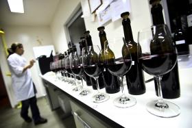TURISMO: VINHOS “MADE IN” ALENTEJO ATRAEM CADA VEZ MAIS ESTRANGEIROS À REGIÃO